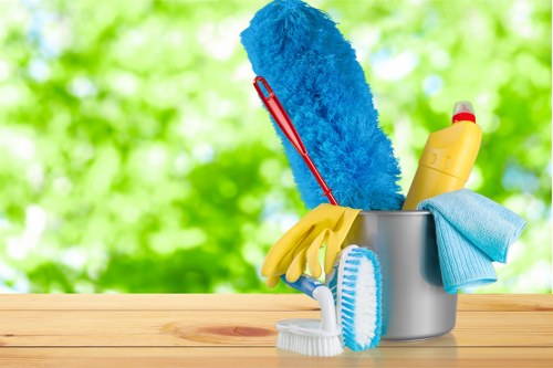 Professional house cleaning in a Knightsbridge luxury home