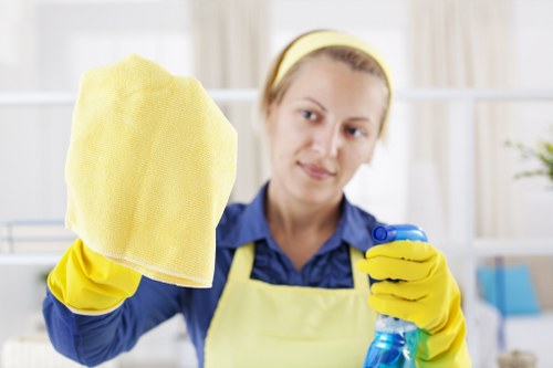 Professional sofa cleaning in Knightsbridge living room