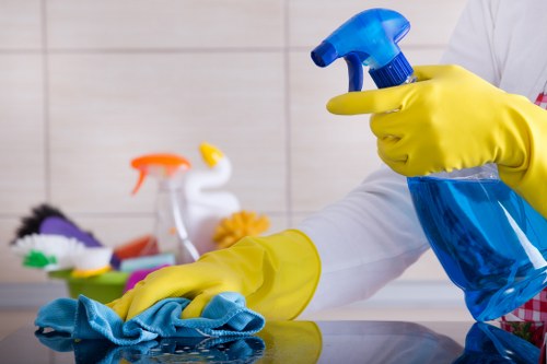 Professional cleaner in Knightsbridge for luxury home cleaning
