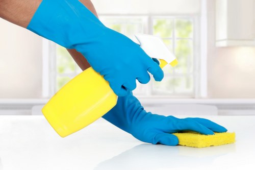 Deep cleaning in a Knightsbridge home interior