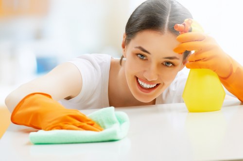 Professional Knightsbridge cleaners providing careful and discreet service