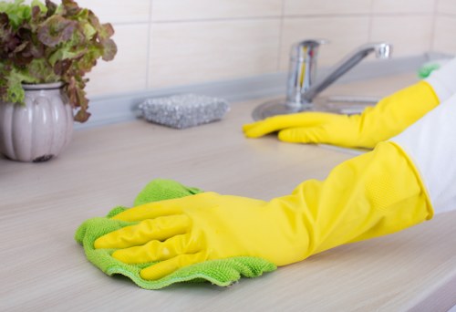 Kitchen deep cleaning service in Knightsbridge