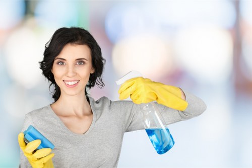Cleaning services in Knightsbridge homepage heading illustration