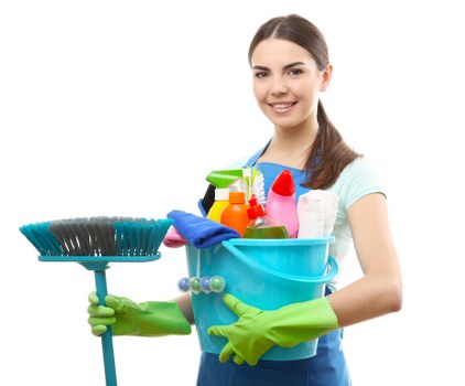 Local carpet cleaner treating stains in Knightsbridge