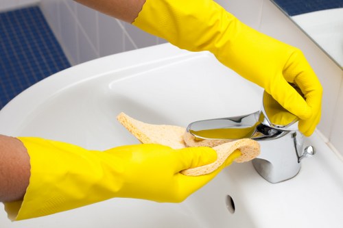 Local oven cleaning in a modern Knightsbridge home